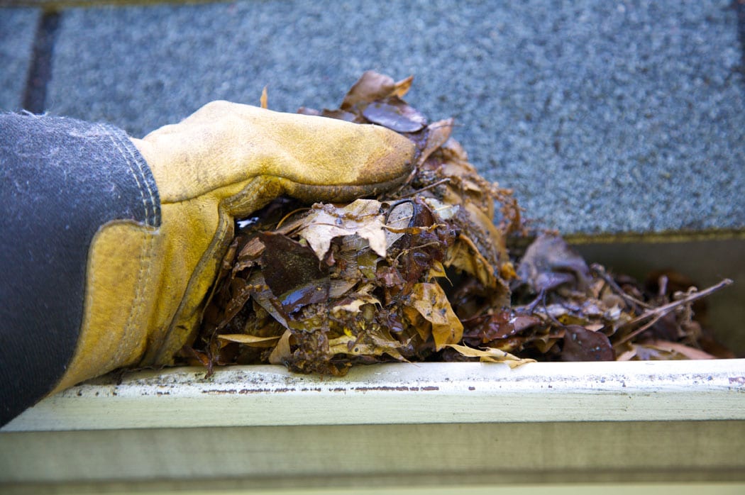 House Roof and Gutter